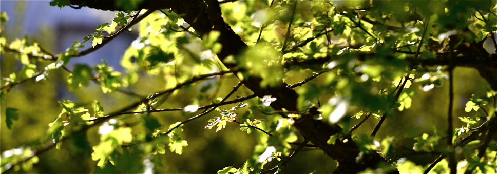 banner_2